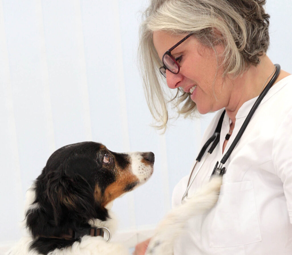 Judith Rieker - Heilpraktikerin für Mensch & Hund