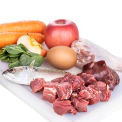 Bei Futtermittelunverträglichkeit ist eine individuelle Fütterung des Hundes sinnvoll.