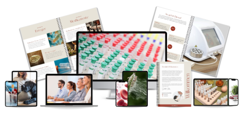 MockUp WS Allergie-Architektur-Methode